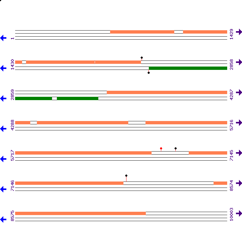 Genome View