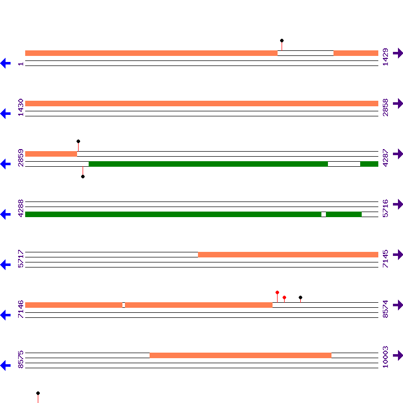 Genome View