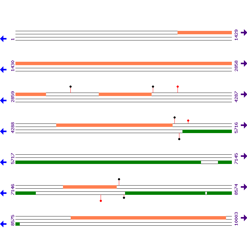 Genome View