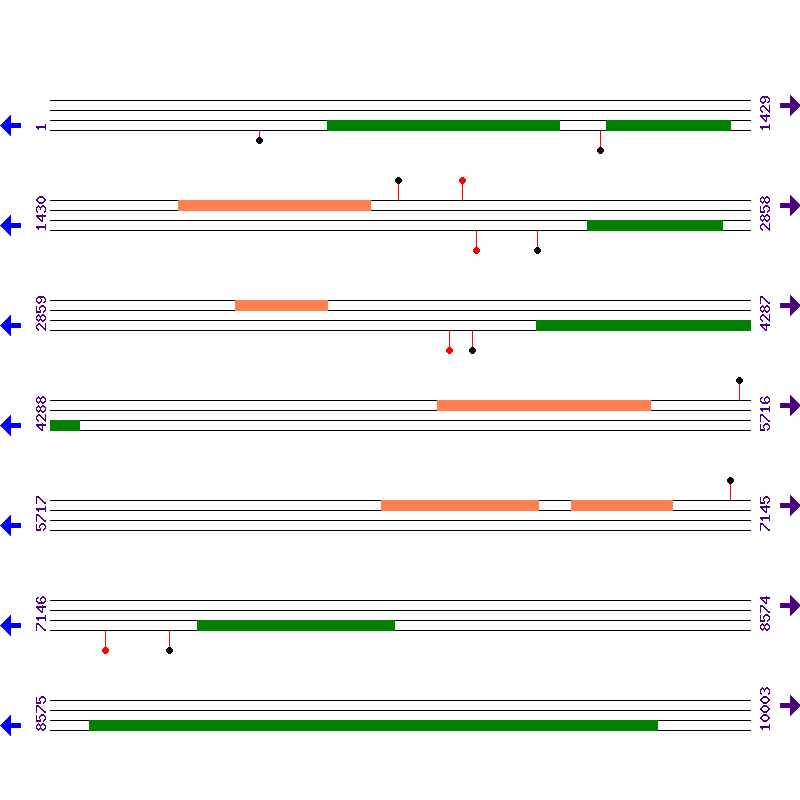 Genome View