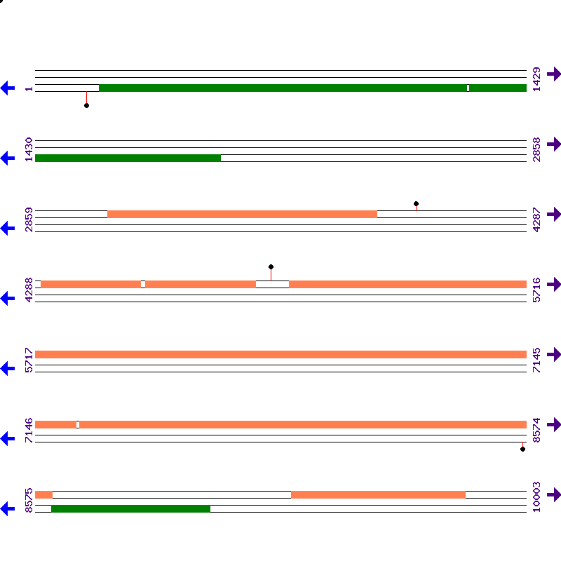 Genome View