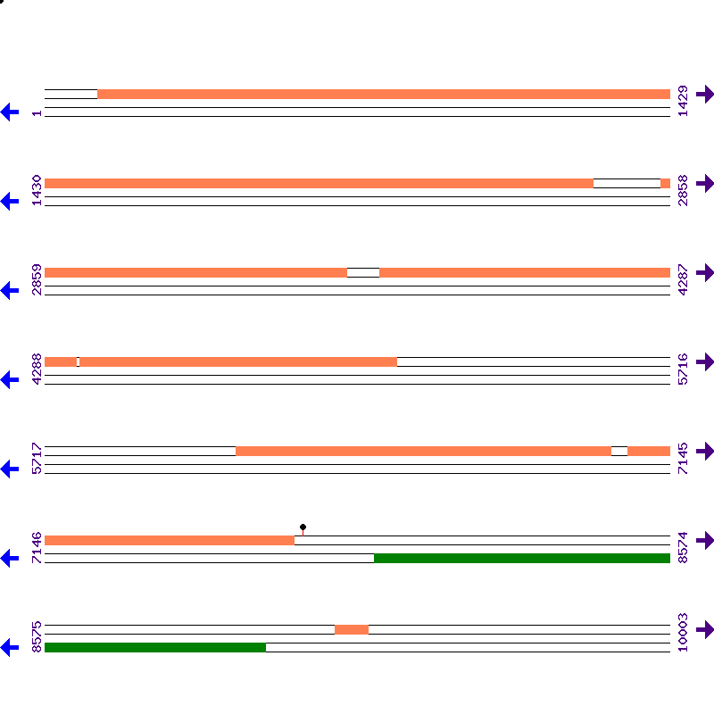 Genome View