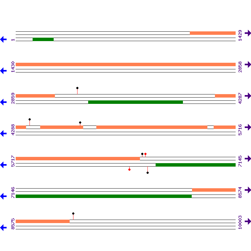 Genome View