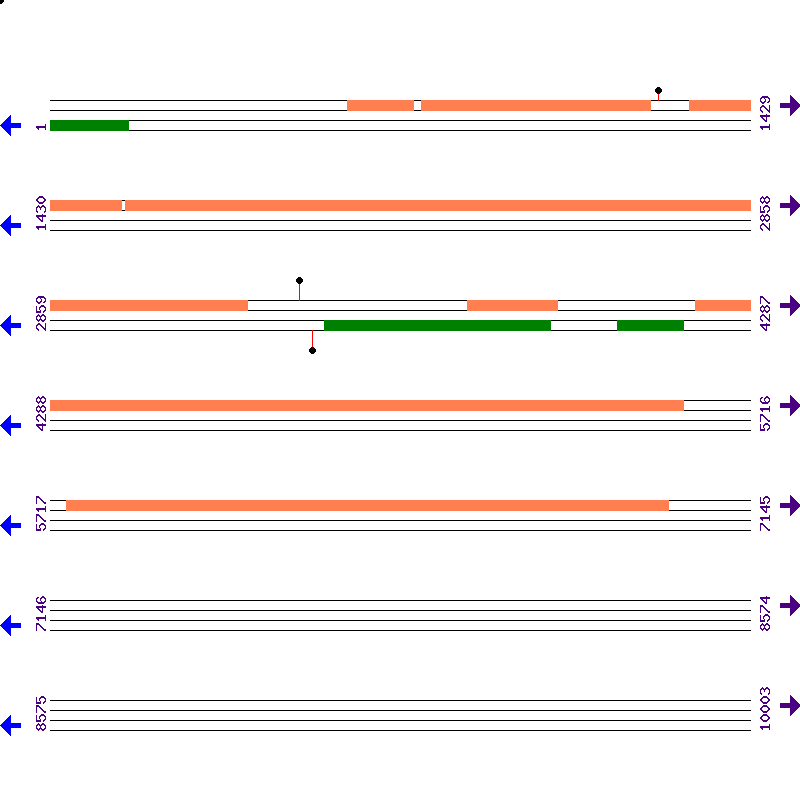 Genome View