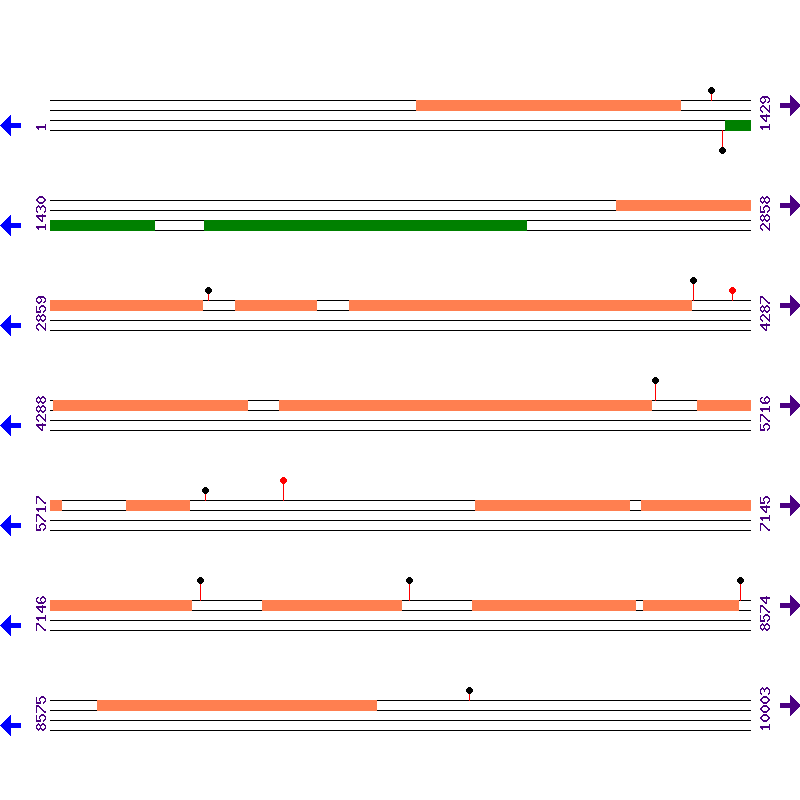 Genome View