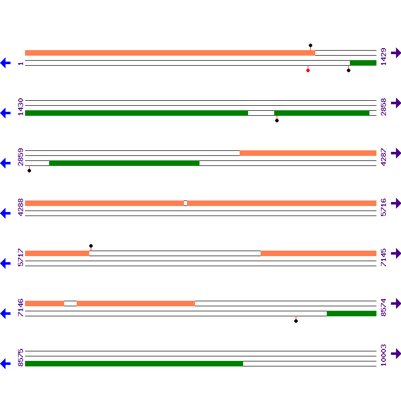 Genome View