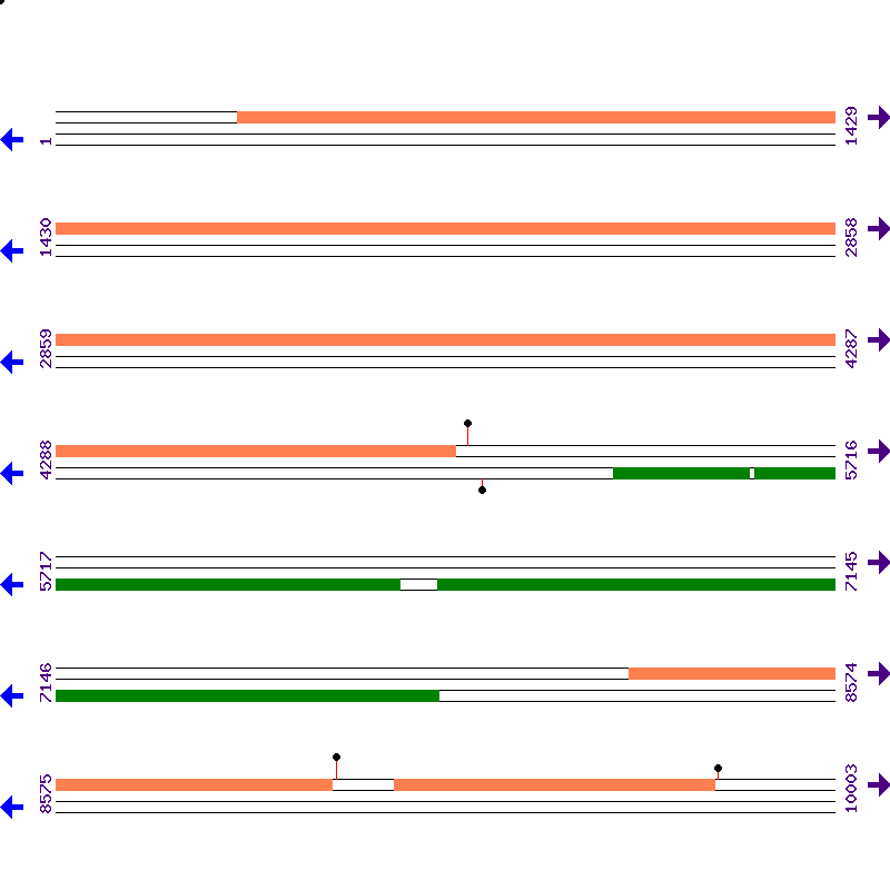 Genome View