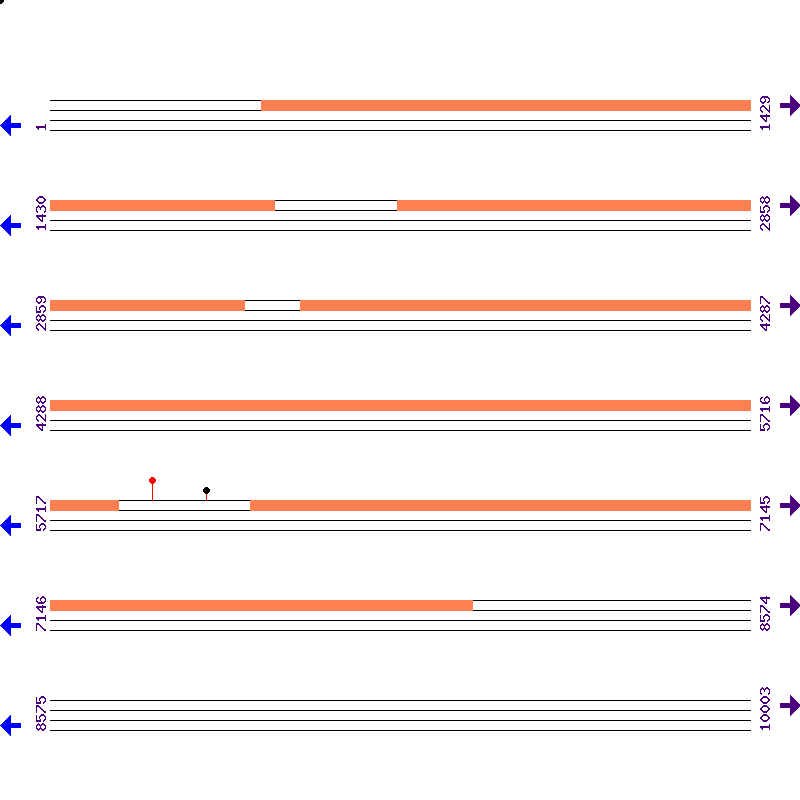 Genome View