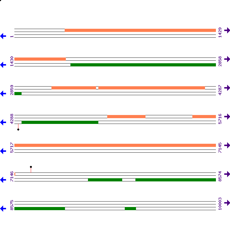 Genome View