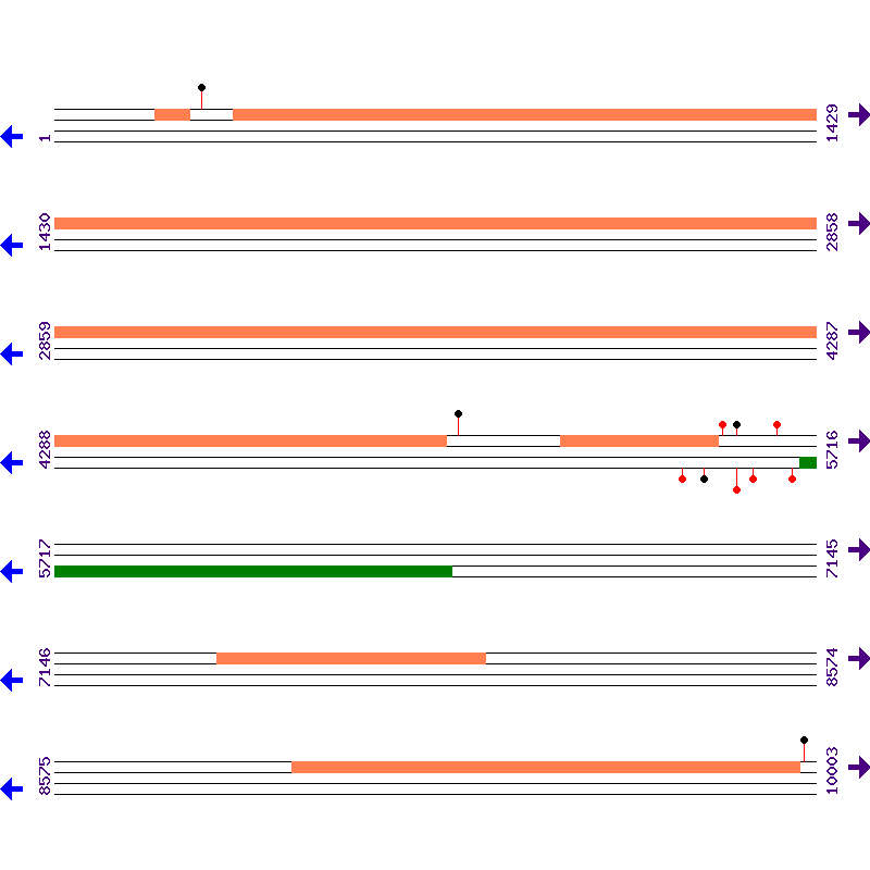 Genome View