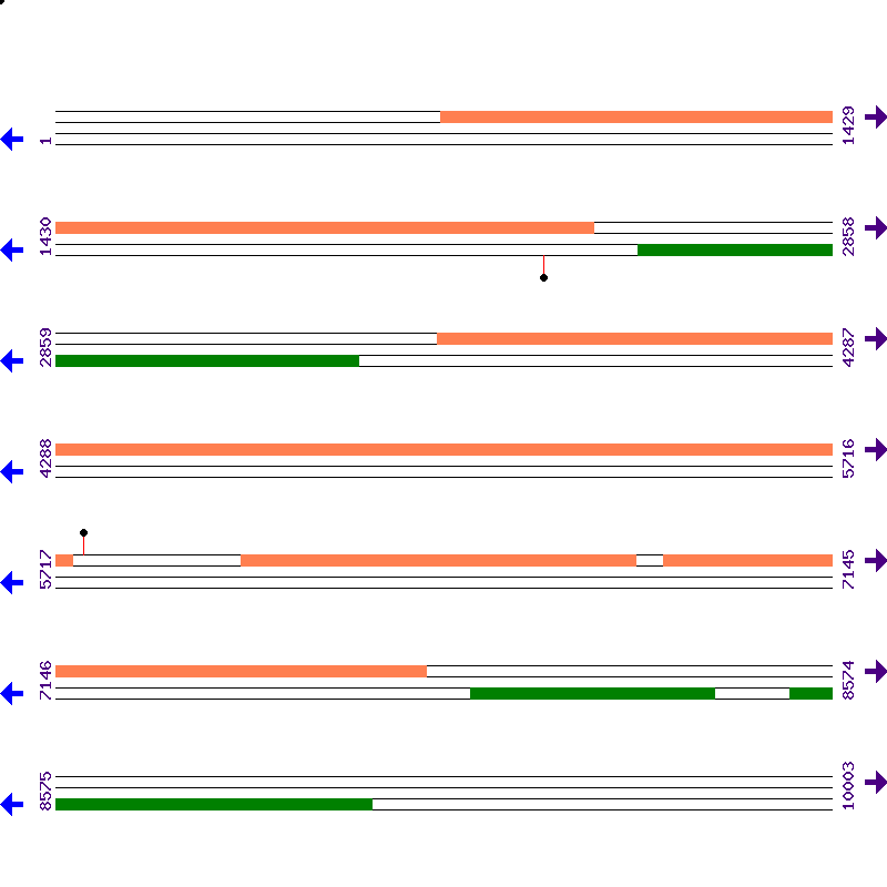 Genome View