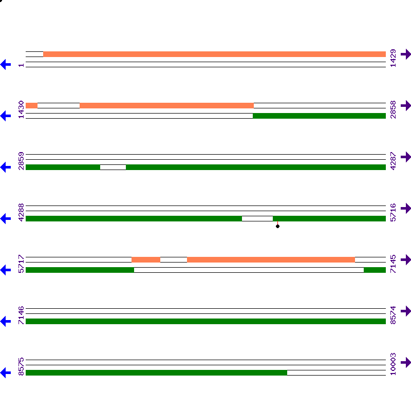 Genome View