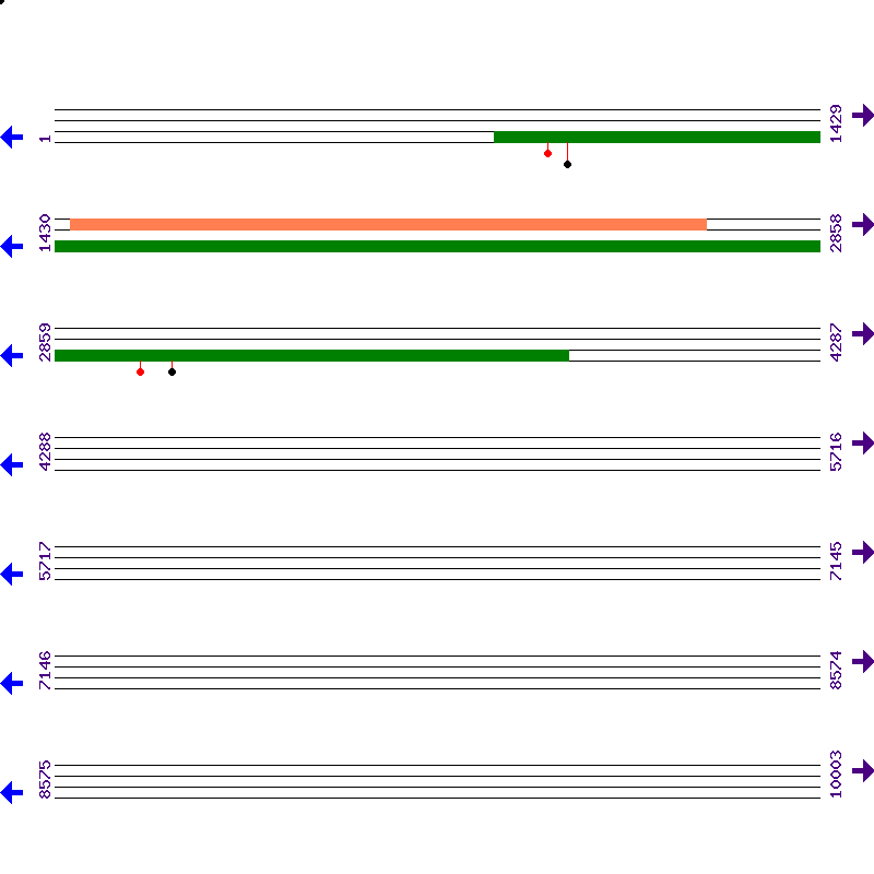 Genome View