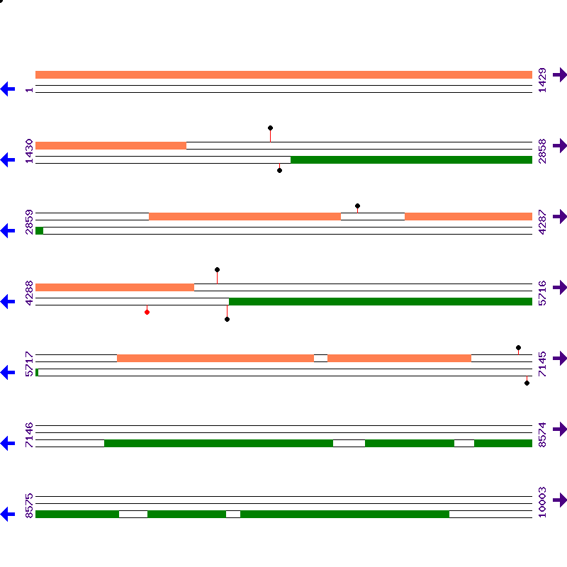 Genome View