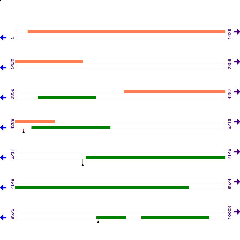 Genome View