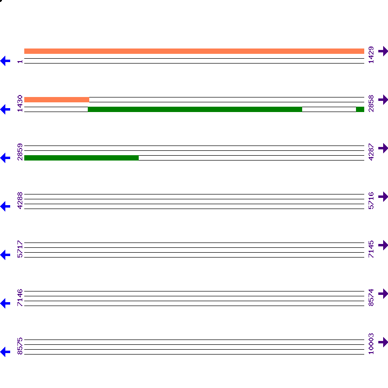 Genome View