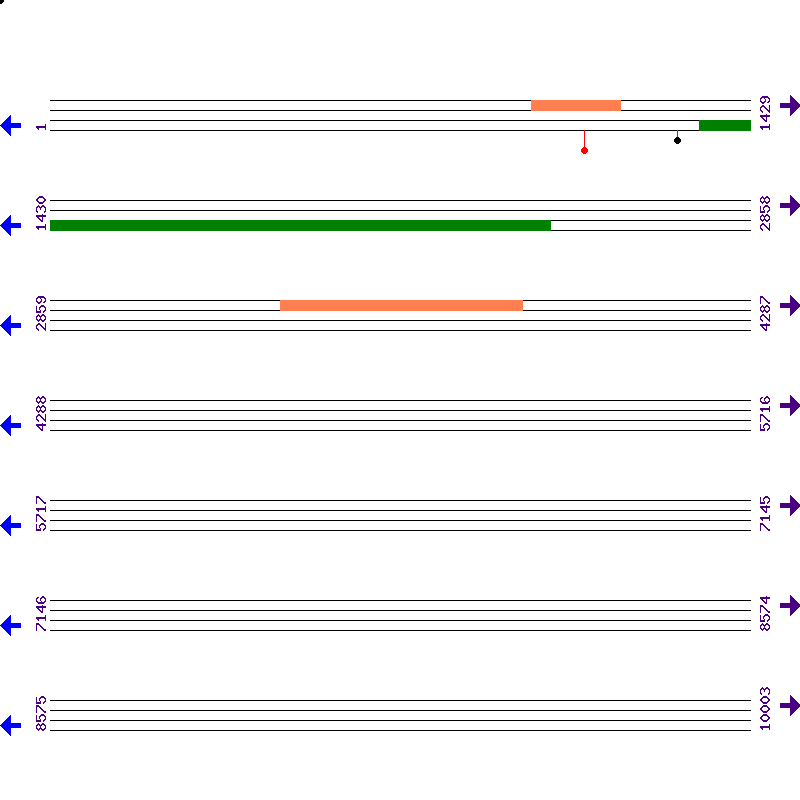 Genome View