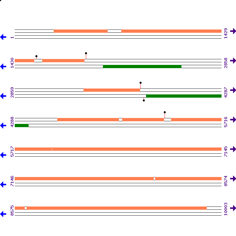 Genome View