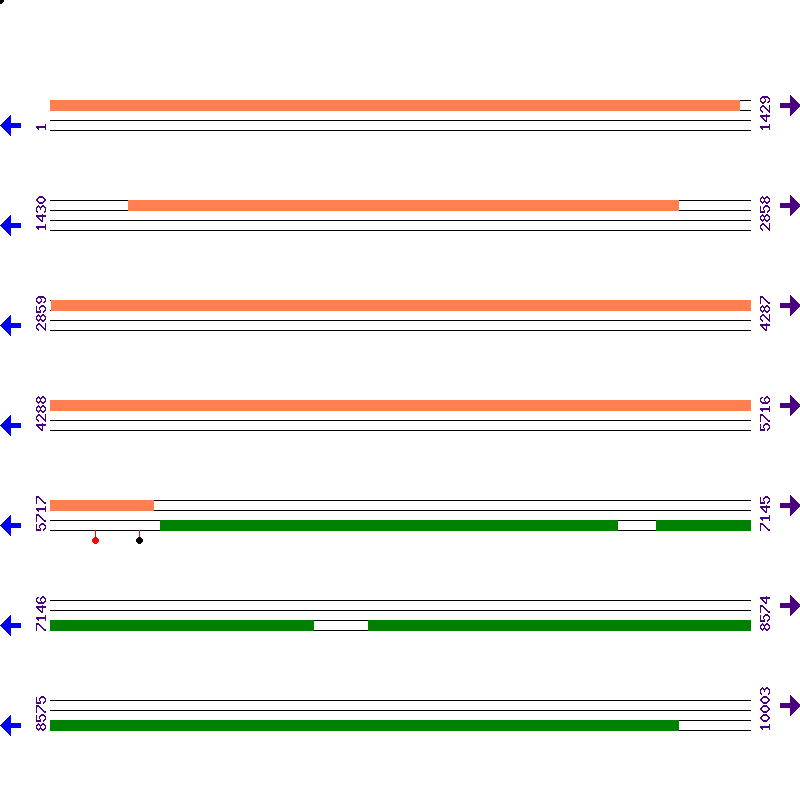 Genome View