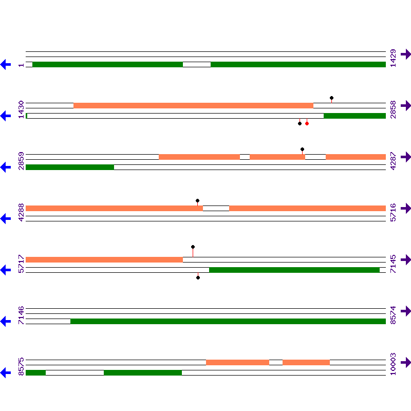 Genome View