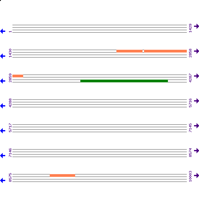 Genome View
