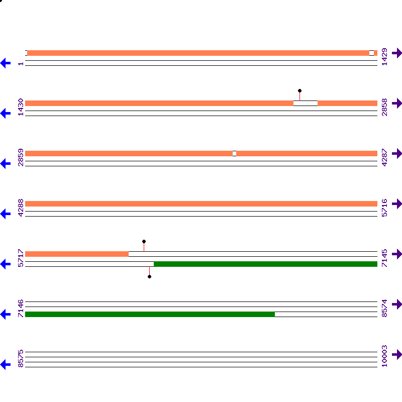 Genome View