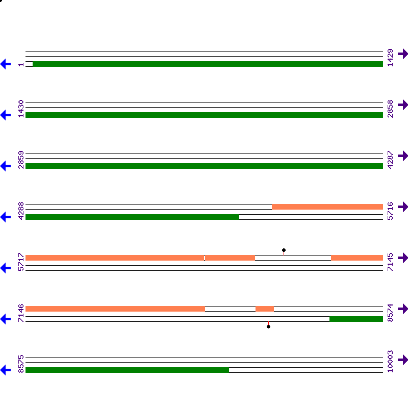 Genome View