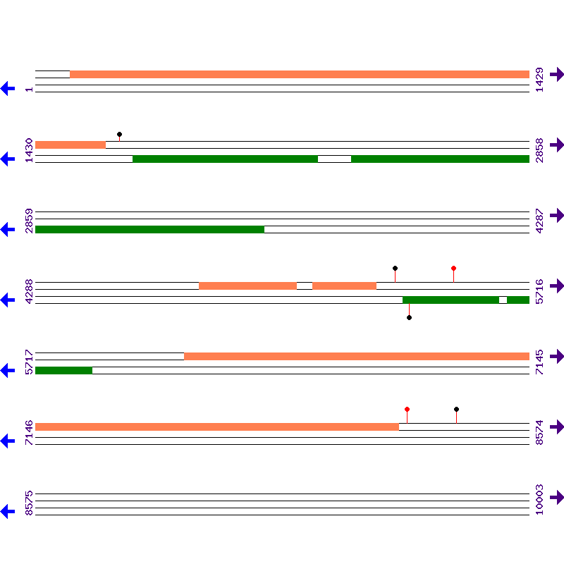 Genome View