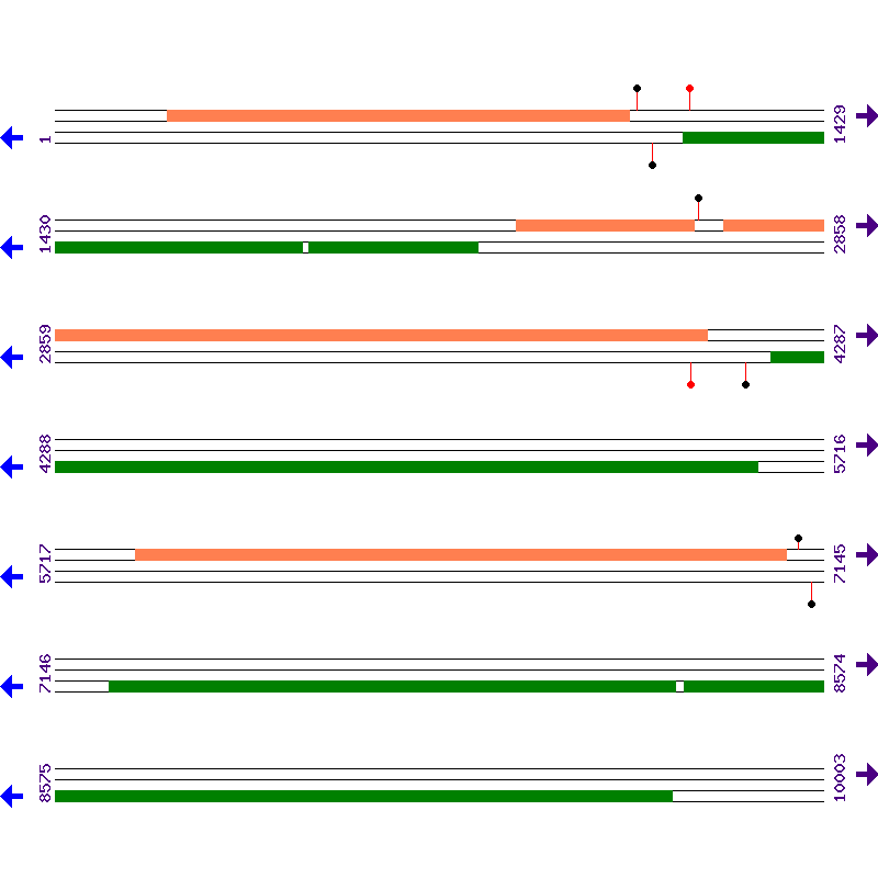 Genome View