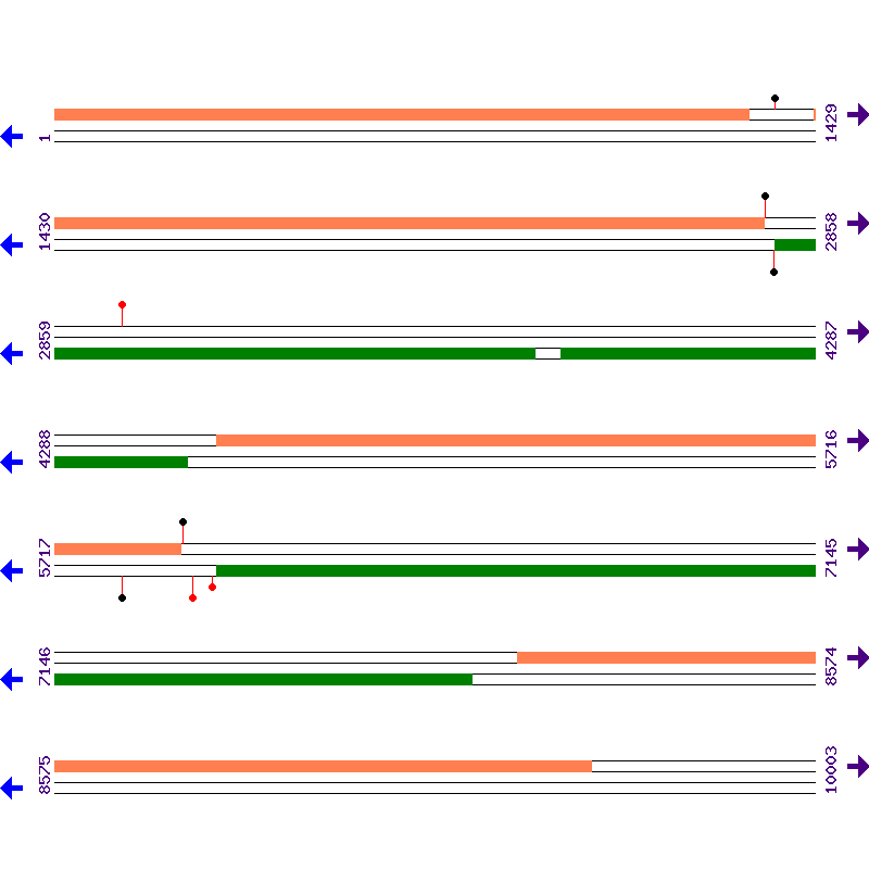 Genome View