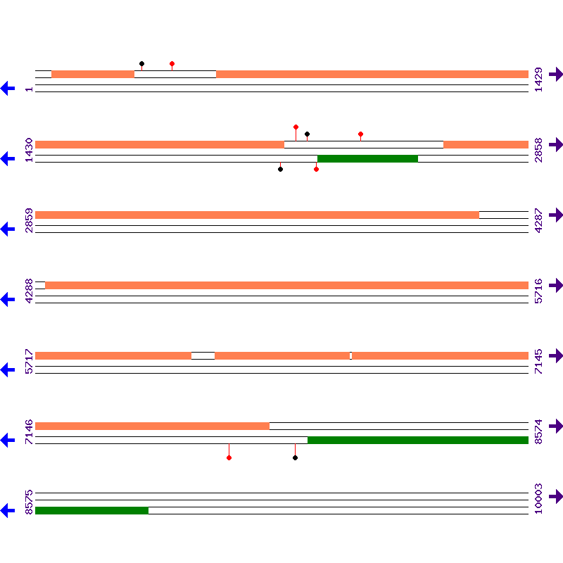 Genome View
