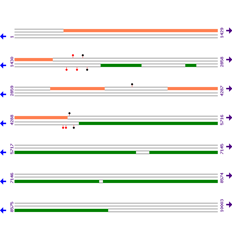 Genome View