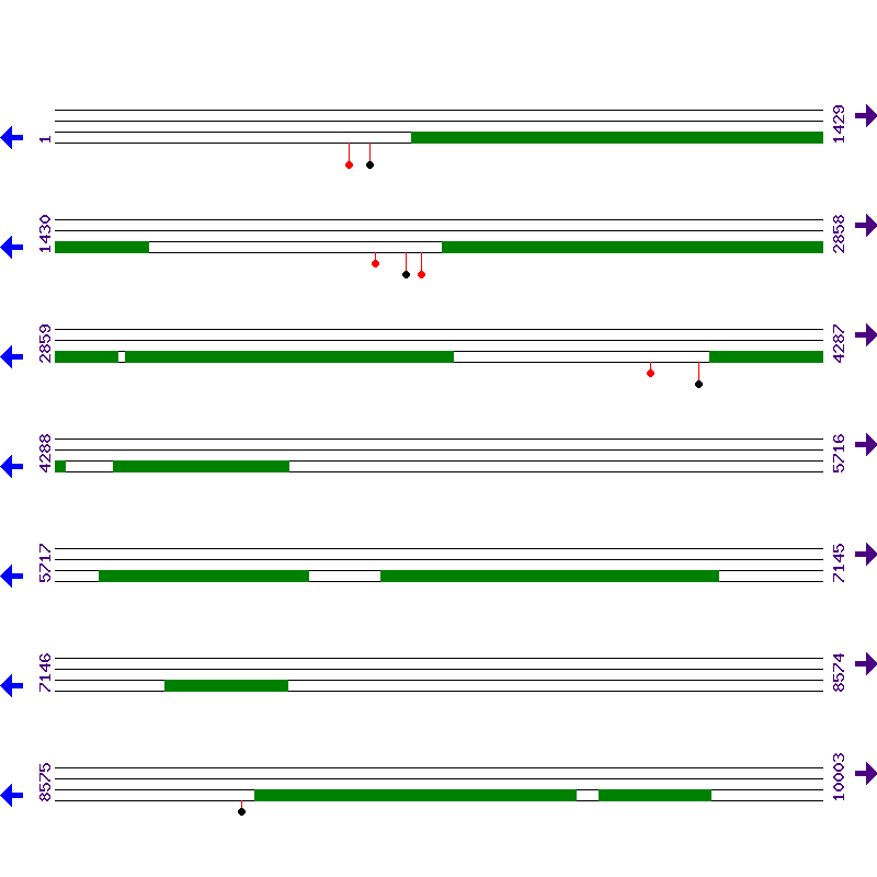 Genome View