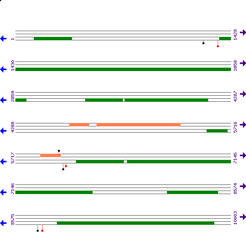 Genome View