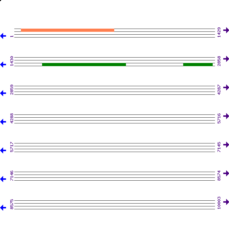 Genome View