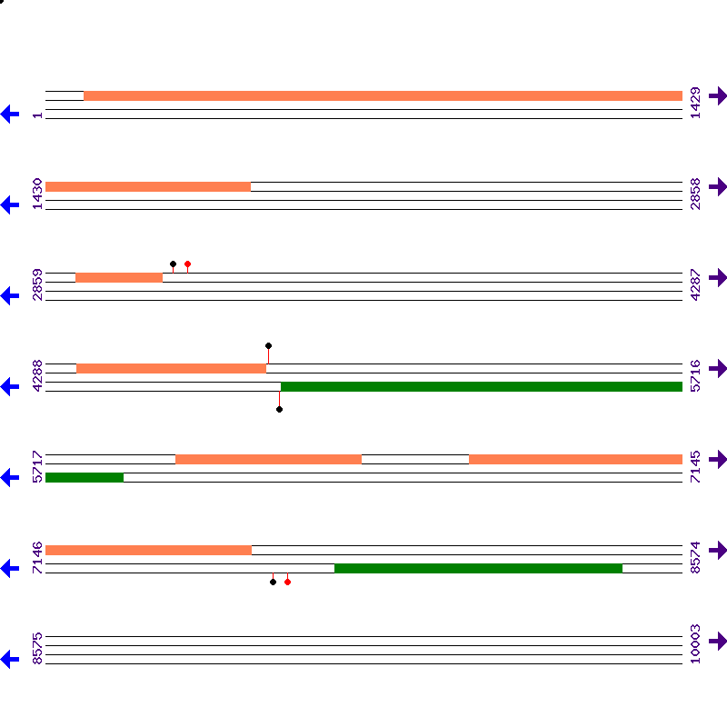 Genome View