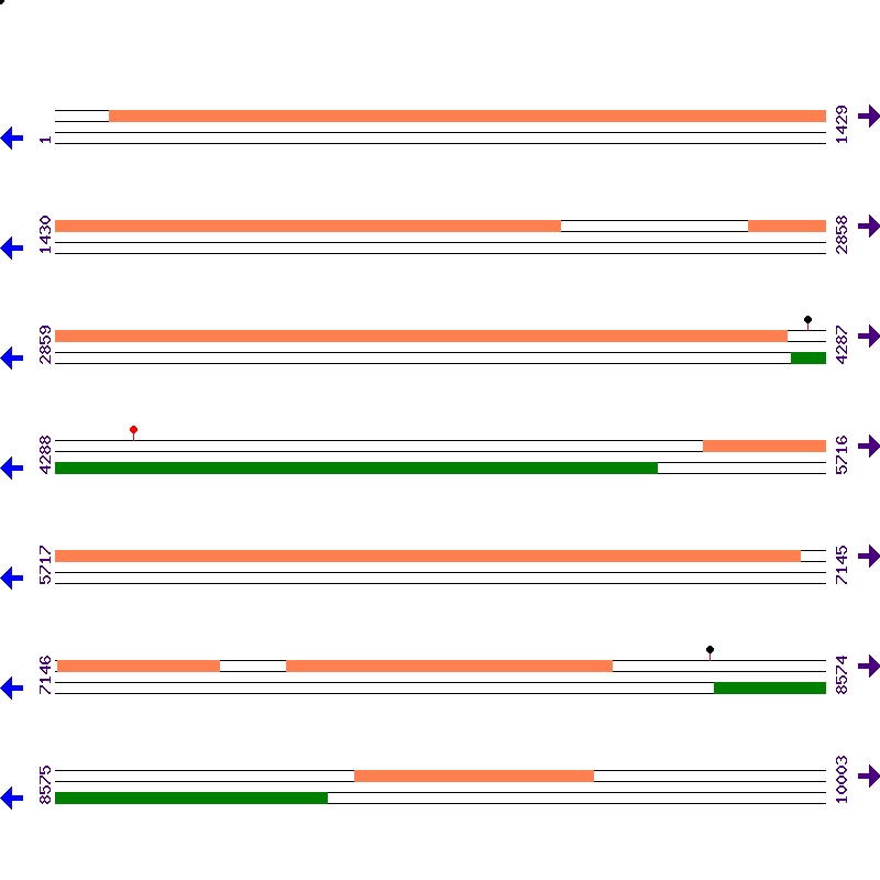 Genome View