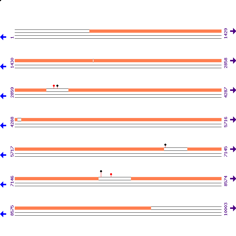 Genome View
