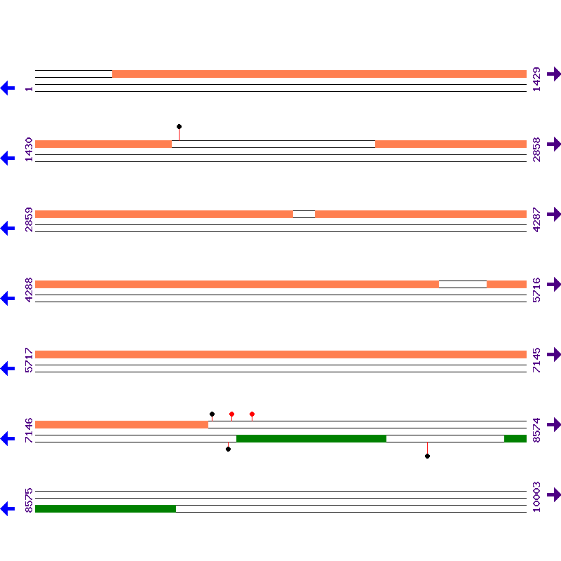 Genome View