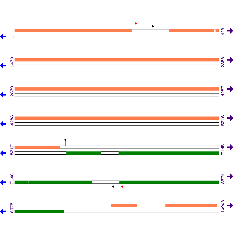 Genome View
