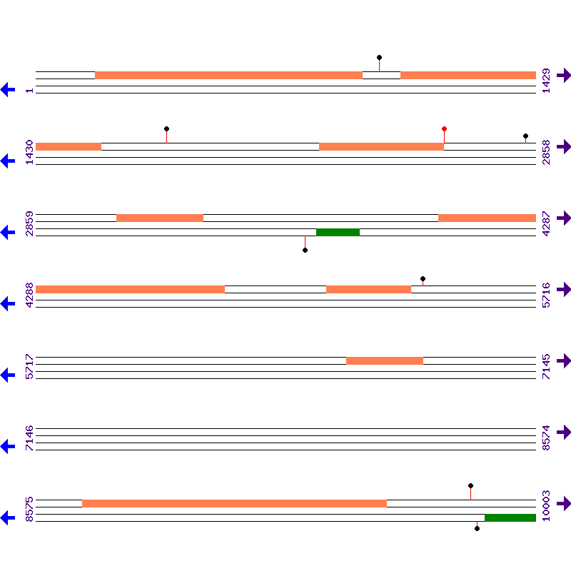Genome View