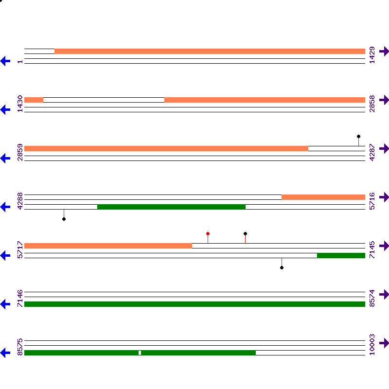 Genome View