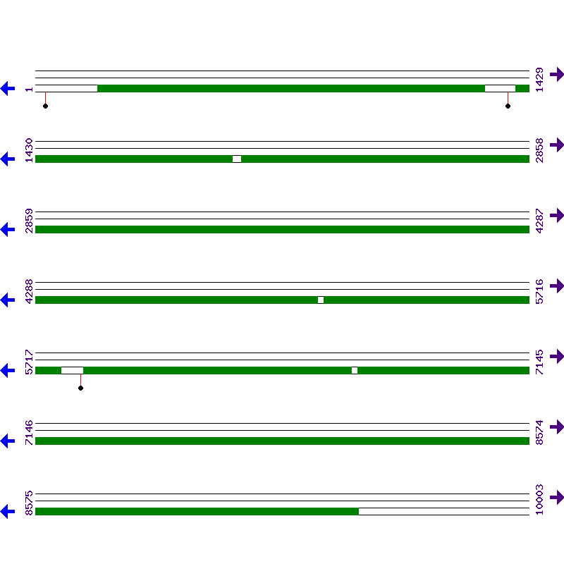 Genome View