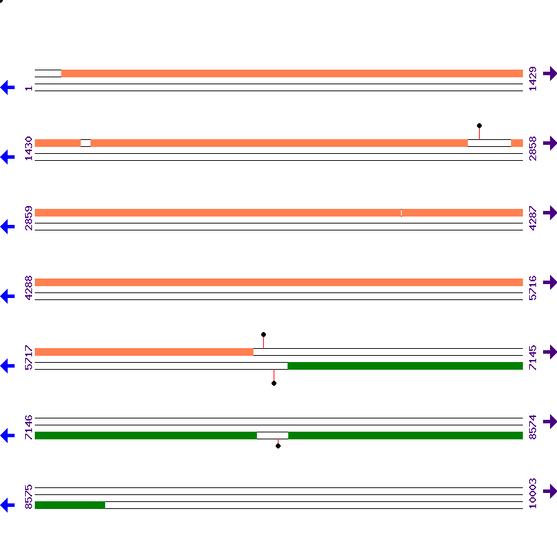 Genome View