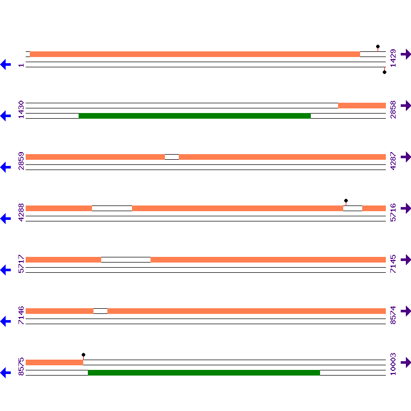 Genome View