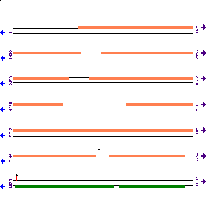 Genome View