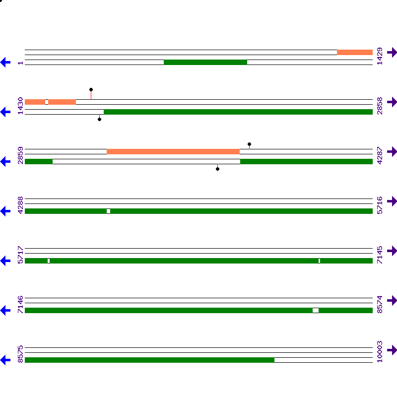 Genome View