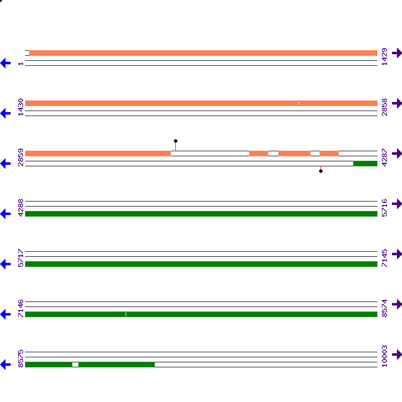 Genome View