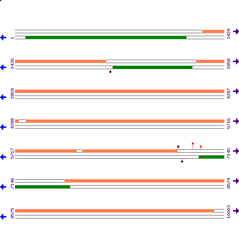 Genome View