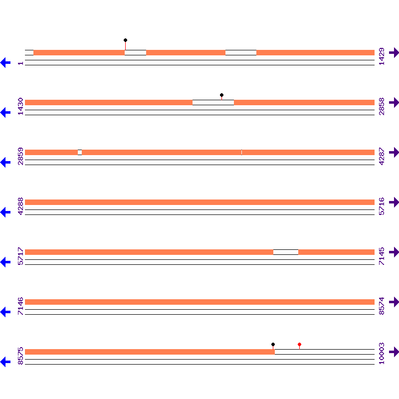 Genome View